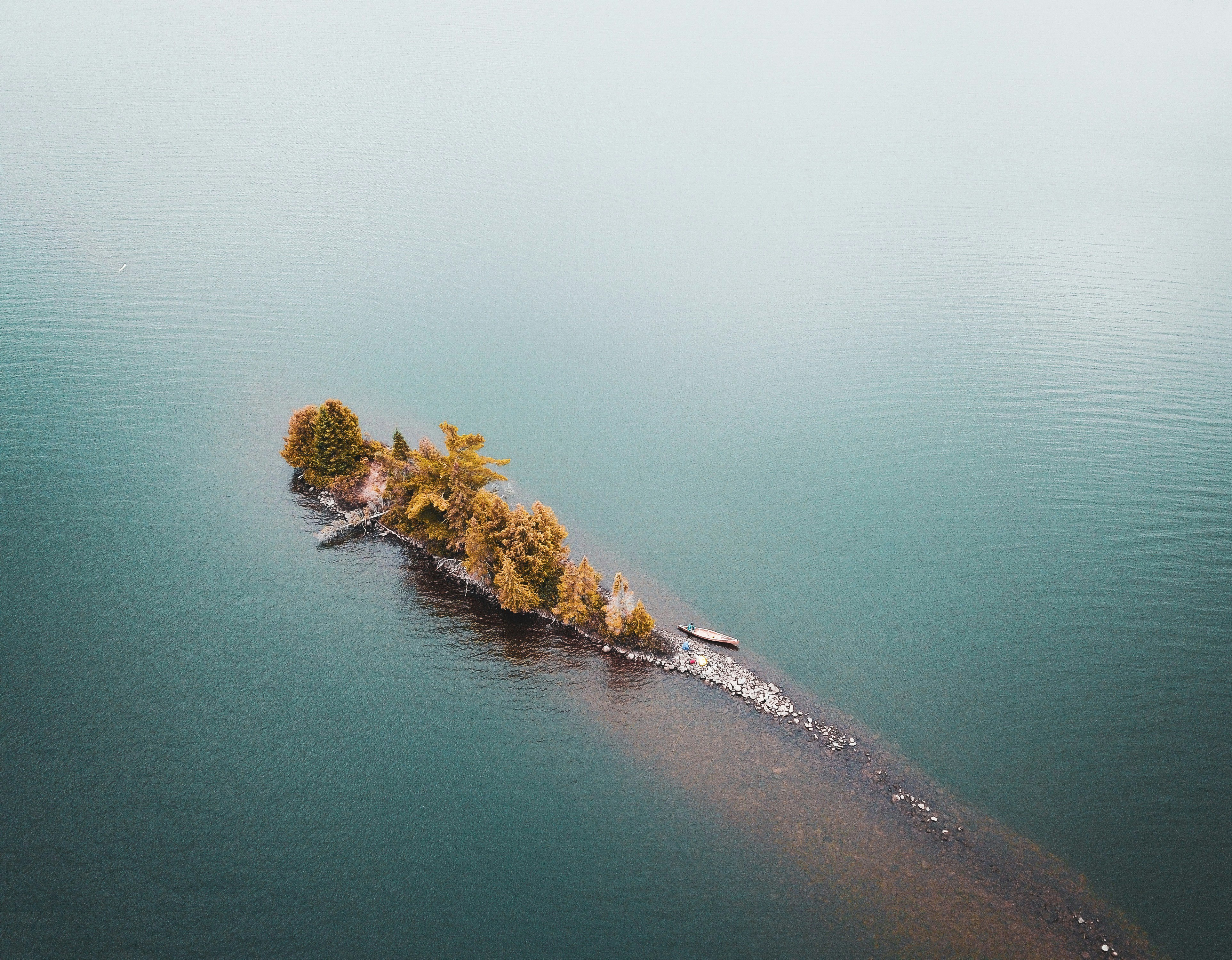 green trees on island surrounded by water during daytime